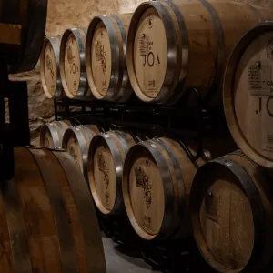 "Experiencia Vinícola Exclusiva: Conviértete en Enólogo por un Día"