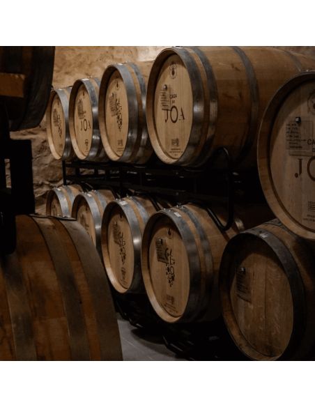 "Experiencia Vinícola Exclusiva: Conviértete en Enólogo por un Día"