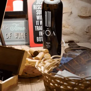 "Cena con Fado en la Bodega: Una noche de Vino, Gastronomía y Música"