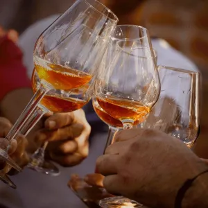 Cena con Estrellas en la Bodega: Una Experiencia Estrella Michelin en el Corazón de Casa DO JOA