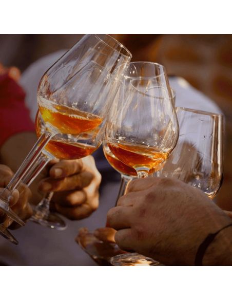 Cena con Estrellas en la Bodega: Una Experiencia Estrella Michelin en el Corazón de Casa DO JOA