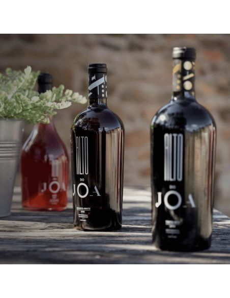 Cata Vertical de Vinos Alto DO-JOA: Un Viaje a través de las Añadas